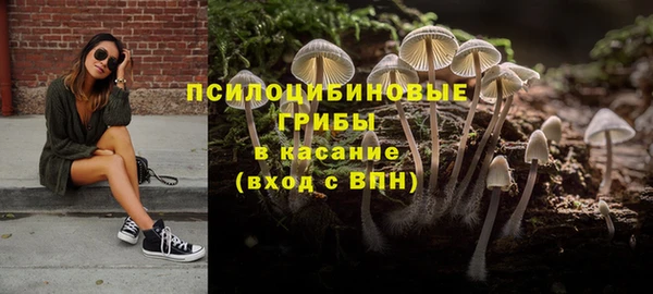 apvp Арсеньев