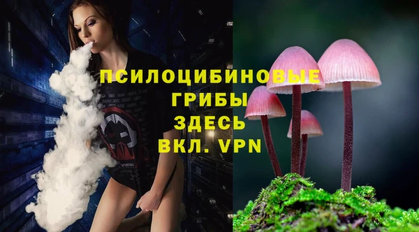 apvp Арсеньев