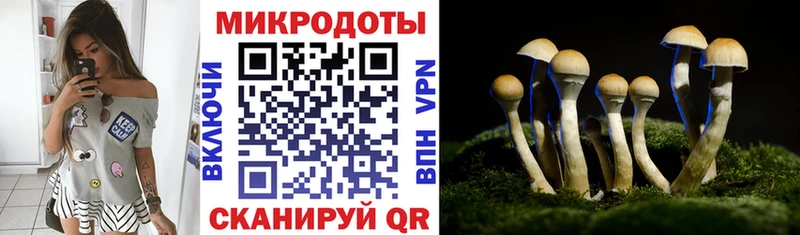 Купить где  Билибино  Галлюциногенные грибы Psilocybe 